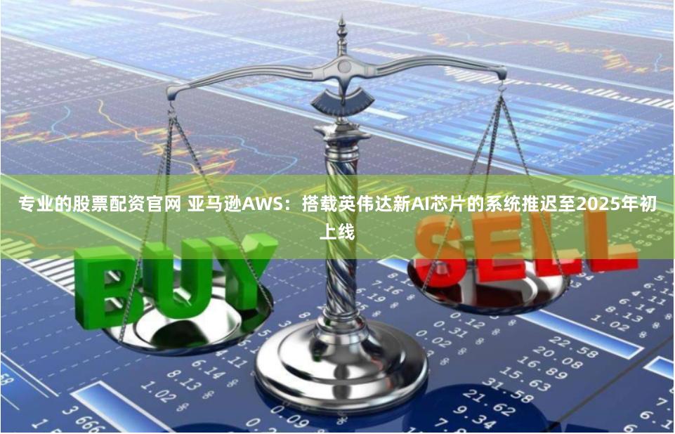 专业的股票配资官网 亚马逊AWS：搭载英伟达新AI芯片的系统推迟至2025年初上线