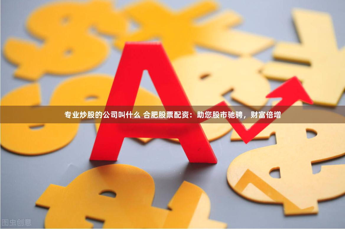 专业炒股的公司叫什么 合肥股票配资：助您股市驰骋，财富倍增